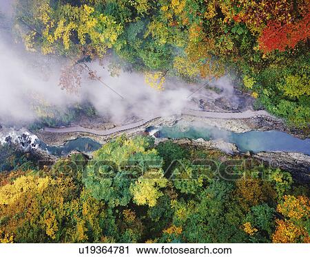 River running through forest. Minase-son, Akita Prefecture, Japan View Large Photo Image Stock Image - River running through forest. Minase-son, Akita Prefecture, Japan. Fotosearch