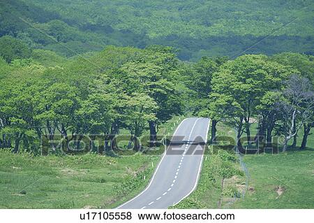 Stock Photo - Road through lush green landscape, Hakkouda, Aomori Prefecture, Japan. Fotosearch