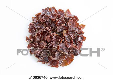 Rosehip tea leaves View Large Photo Image Stock Image - Rosehip tea leaves. Fotosearch