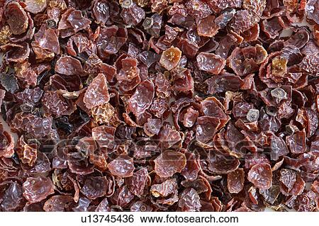 Rosehip tea leaves View Large Photo Image Stock Photograph - Rosehip tea leaves. Fotosearch