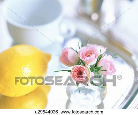 Roses, a lemon and coffee cup on a tray View Large Photo Image Stock Photograph - Roses, a lemon and coffee cup on a tray. Fotosearch