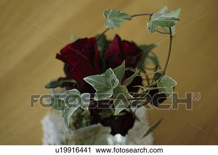 Roses in a vase View Large Photo Image Stock Image - Roses in a vase. Fotosearch