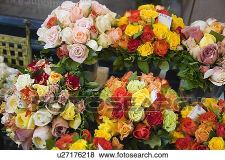 Roses in front of a flower shop, Paris, France View Large Photo Image Stock Photo - Roses in front of a flower shop, Paris, France. Fotosearch