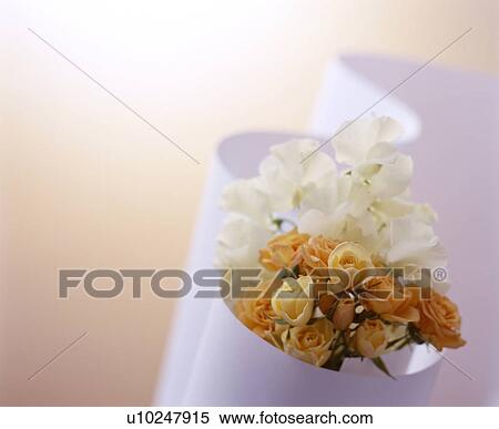 Stock Photography - Roses in paper. Fotosearch