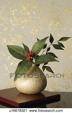 Stock Image - Sacandra glabra in a vase. Fotosearch