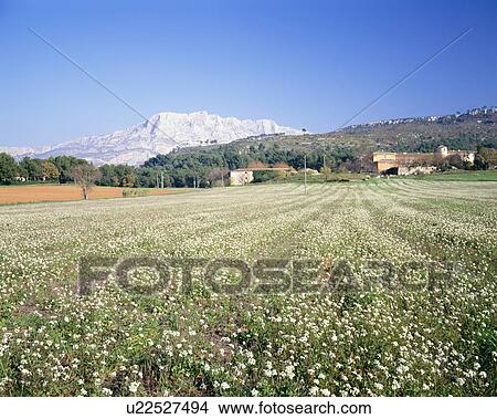 Sainte Victoire Mountain. Provence, France View Large Photo Image Picture - Sainte Victoire Mountain. Provence, France. Fotosearch