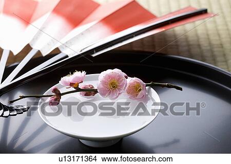 Sake and a folding fan on a tray View Large Photo Image Picture - Sake and a folding fan on a tray. Fotosearch