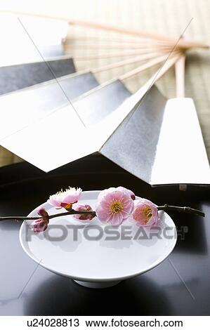 Sake and a folding fan on a tray View Large Photo Image Stock Image - Sake and a folding fan on a tray. Fotosearch