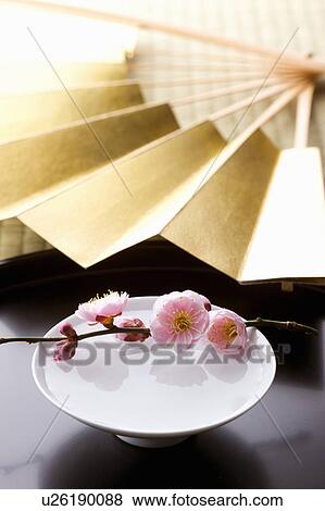Stock Photo - Sake and a folding fan on a tray. Fotosearch