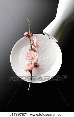 Stock Image - Sake and plum blossoms. Fotosearch