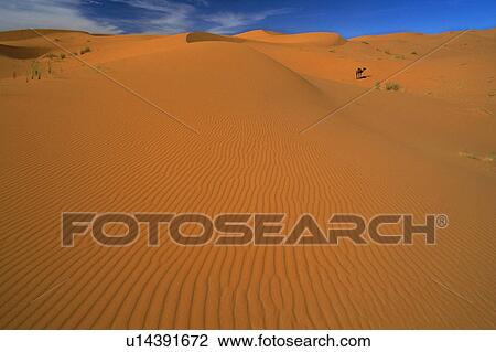 Sand dunes in desert View Large Photo Image Stock Image - Sand dunes in desert. Fotosearch