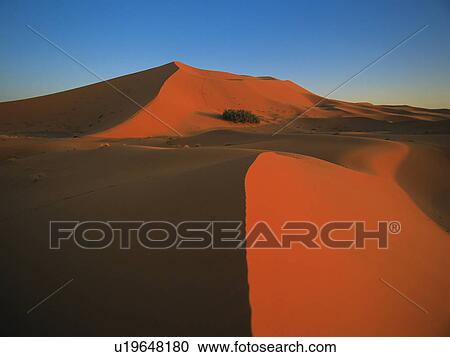 Stock Image - Sand dunes in desert. Fotosearch