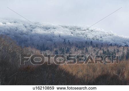 Stock Photo - Sasagamine plateau, Myoko, Niigata Prefecture, Japan. Fotosearch