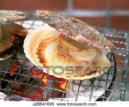 Scallops cooking on a charcoal brazier View Large Photo Image Stock Photography - Scallops cooking on a charcoal brazier. Fotosearch