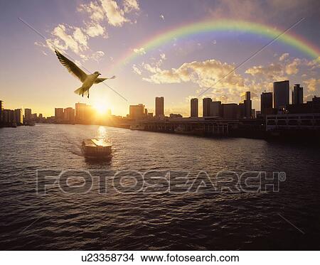 Seagull and a rainbow over Shiodome and its harbour, Chuo-ku, Tokyo, Japan View Large Photo Image Picture - Seagull and a rainbow over Shiodome and its harbour, Chuo-ku, Tokyo, Japan. Fotosearch