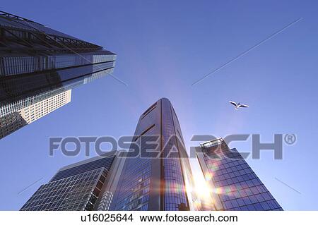 Picture - Seagull flying over Shiodome SIO-SITE, Shiodome, Minato-ku, Tokyo, Japan. Fotosearch