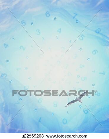 Seagull flying through numbers View Large Photo Image Stock Image - Seagull flying through numbers. Fotosearch