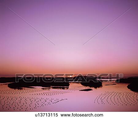 Stock Photography - Setting sun over aquaculture, Mie Prefecture, Japan. Fotosearch