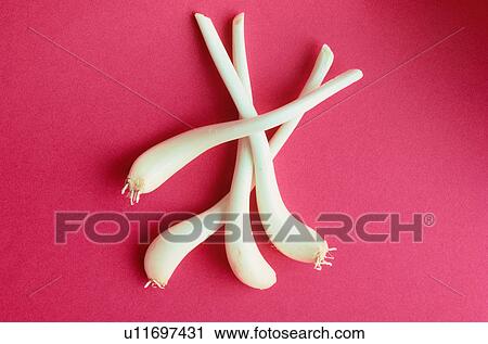 Stock Image - Shallots. Fotosearch