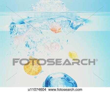 Picture - Shells falling into water. Fotosearch