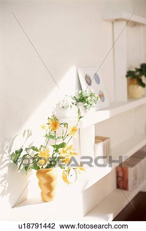 Stock Image - Shelves in house with flowers and books. Fotosearch