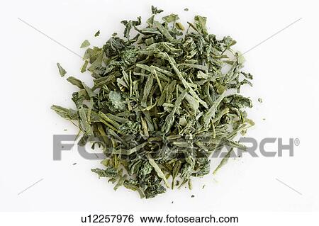 Stock Photograph - Shiso tea leaves. Fotosearch