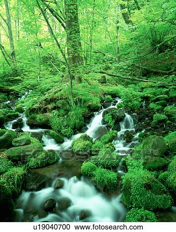 Stock Image - Shojinzawa-yusui, Shioya-machi, Tochigi Prefecture, Japan. Fotosearch