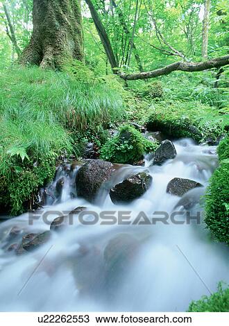Stock Image - Shojinzawa-yusui, Shioya-machi, Tochigi Prefecture, Japan. Fotosearch