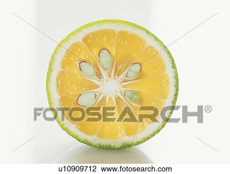 Stock Image - Slice of a citrus fruit. Fotosearch