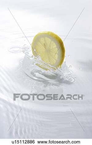 Slice of lemon dropped in water, white background View Large Photo Image Stock Photograph - Slice of lemon dropped in water, white background. Fotosearch