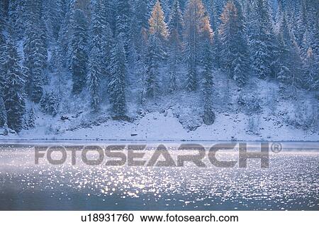 Snowy forest and lake. Italy View Large Photo Image Stock Image - Snowy forest and lake. Italy. Fotosearch
