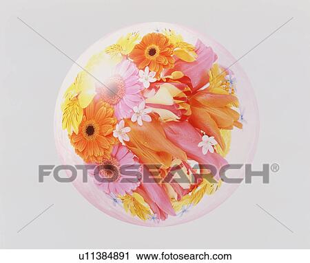Stock Image - Sphere of flowers. Fotosearch