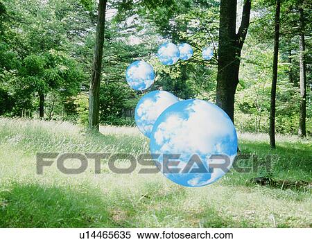Spheres floating through a forest View Large Photo Image Stock Photography - Spheres floating through a forest. Fotosearch