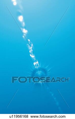 Stock Photo - Splash crown. Fotosearch