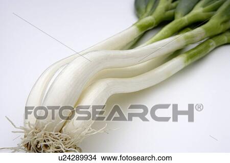 Spring onions View Large Photo Image Picture - Spring onions. Fotosearch
