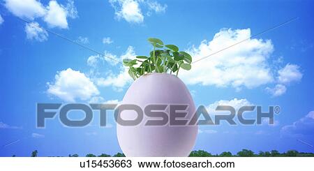 Sprouts growing out of broken egg View Large Photo Image Stock Image - Sprouts growing out of broken egg. Fotosearch