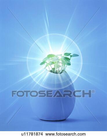 Picture - Sprouts growing out of egg with solar flare. Fotosearch