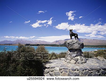Picture - Statue of a collie dog, Lake Tekapo, South Island, New Zealand. Fotosearch