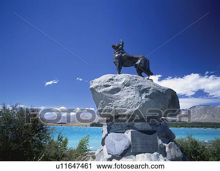 Stock Image - Statue of a collie dog, Lake Tekapo, South Island, New Zealand. Fotosearch