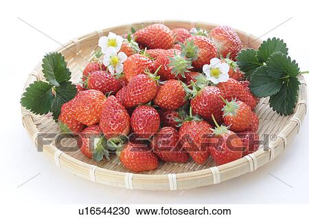 Strawberries in a basket View Large Photo Image Stock Image - Strawberries in a basket. Fotosearch