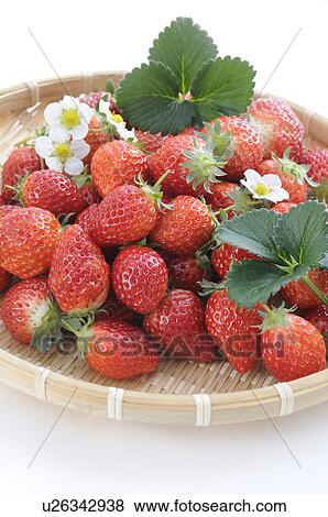 Strawberries in a basket View Large Photo Image Stock Photo - Strawberries in a basket. Fotosearch