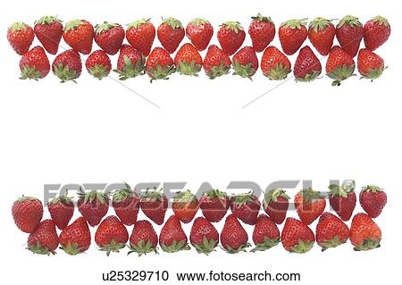 Stock Image - Strawberries in a row. Fotosearch