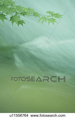 Picture - Stream, Aomori Prefecture, Honshu, Japan. Fotosearch