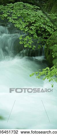 Stream, Aomori Prefecture, Honshu, Japan View Large Photo Image Stock Image - Stream, Aomori Prefecture, Honshu, Japan. Fotosearch