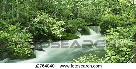 Stock Image - Stream, Aomori Prefecture, Honshu, Japan. Fotosearch