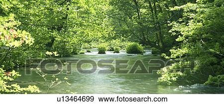 Stock Photo - Stream, Aomori Prefecture, Honshu, Japan. Fotosearch