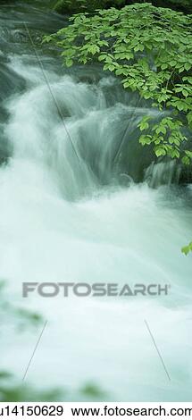 Stock Photo - Stream, Aomori Prefecture, Honshu, Japan. Fotosearch