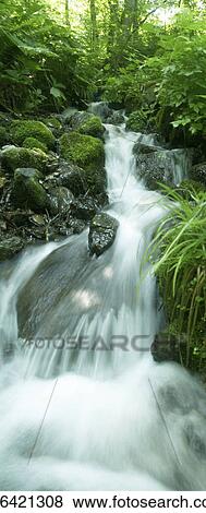 Stream, Aomori Prefecture, Honshu, Japan View Large Photo Image Stock Photo - Stream, Aomori Prefecture, Honshu, Japan. Fotosearch