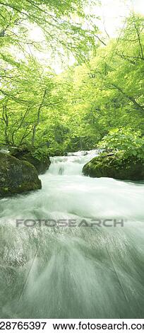 Stock Photo - Stream, Aomori Prefecture, Honshu, Japan. Fotosearch