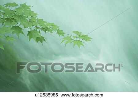 Stock Photography - Stream, Aomori Prefecture, Honshu, Japan. Fotosearch
